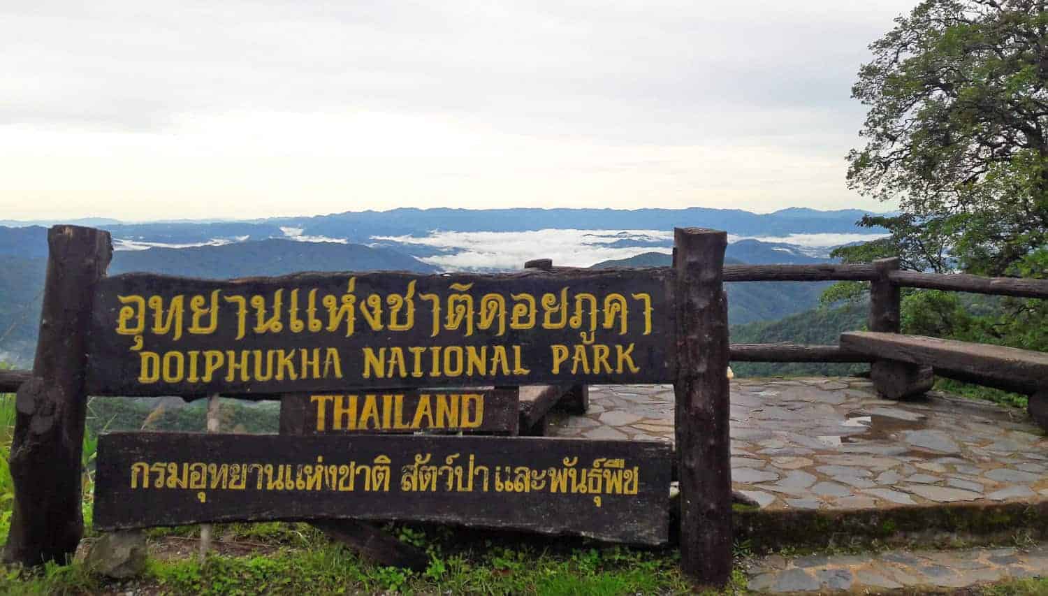 Misty viewpoint at Doi Phu Kha National Park