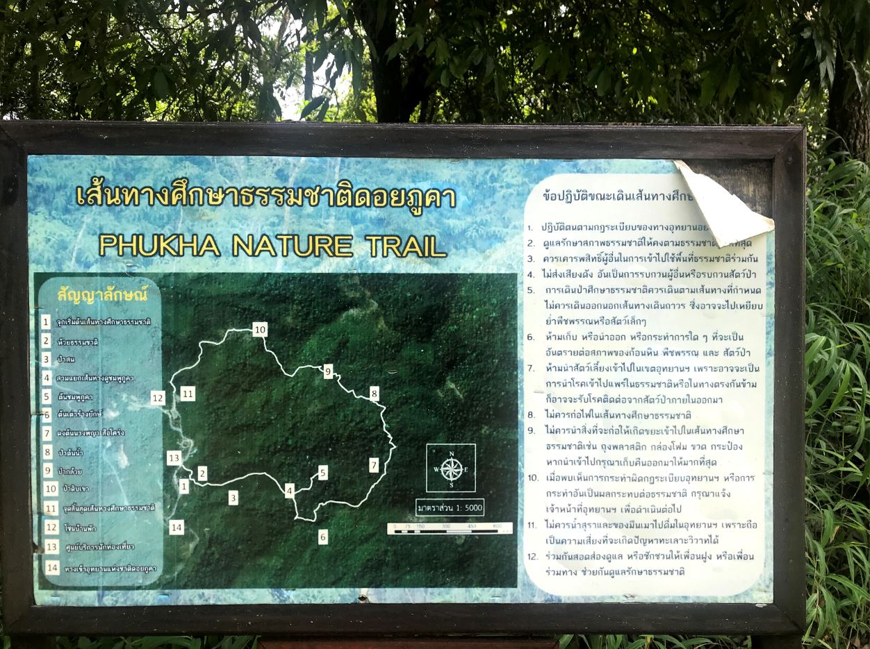 Forest nature trail at Doi Phu Kha National Park