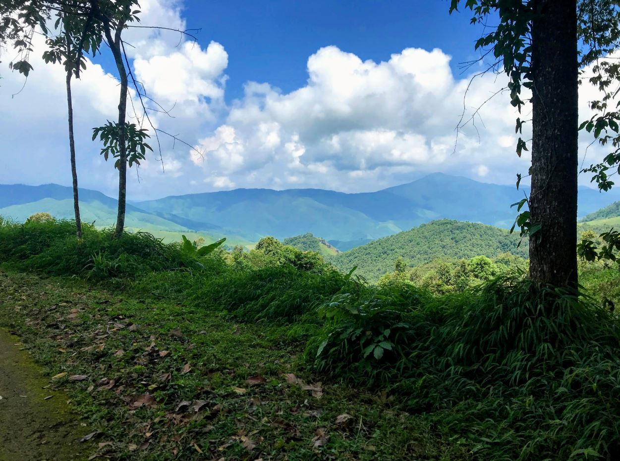 Mountain view from Doi Phu Kha National Park