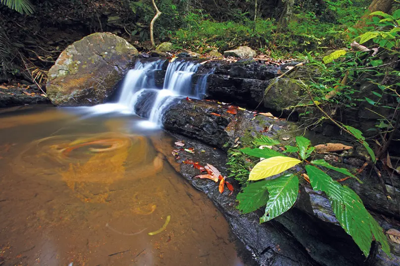 Huai To Waterfall in Khao Phanom Bencha National Park