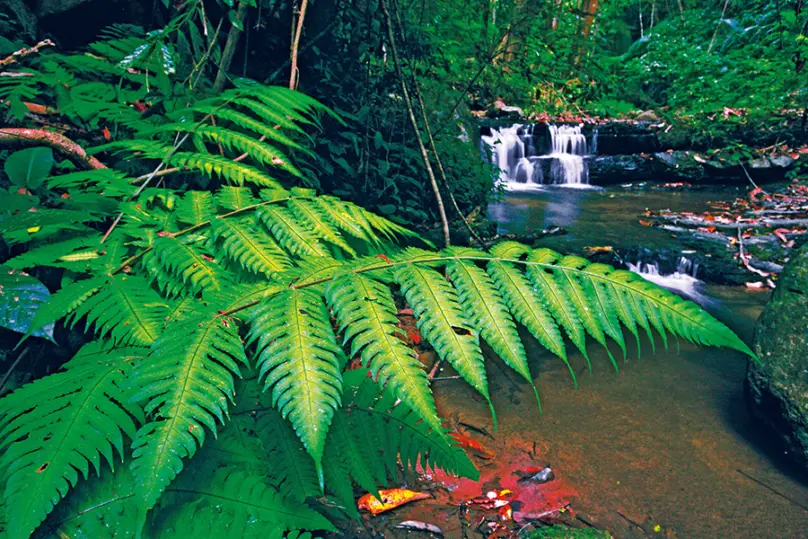 Huai To Waterfall in Khao Phanom Bencha National Park