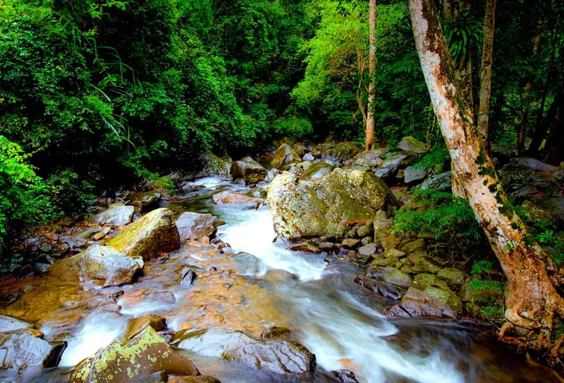 Forest and water on the Pa La U Waterfall trail