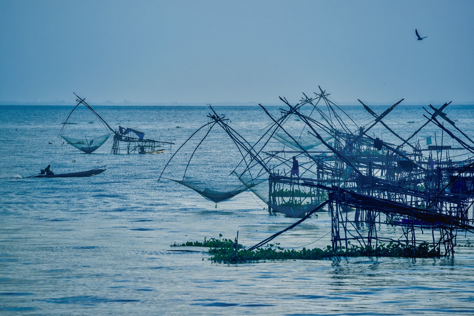 Wetland landscape near Pak Pra and Thale Noi
