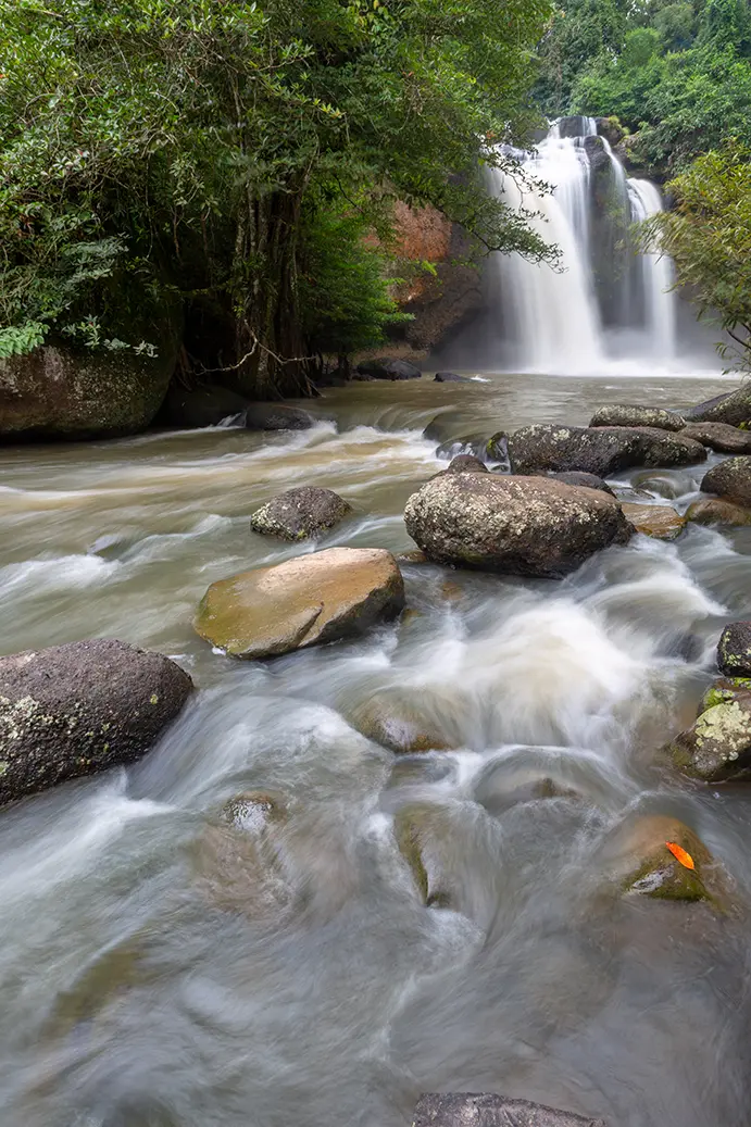 Forest trail between Pha Kluai Mai and Haew Suwat in Khao Yai