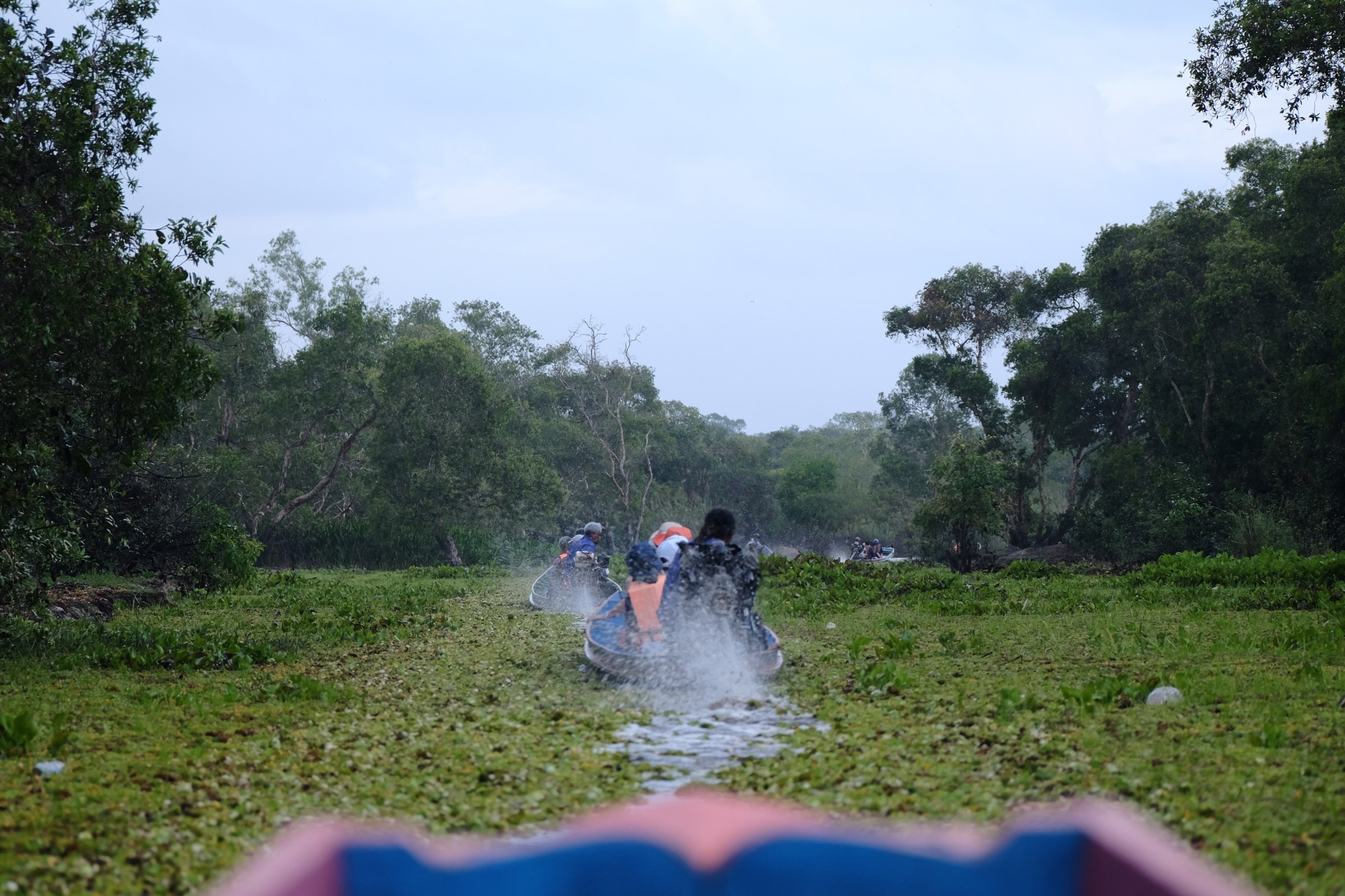 Wildlife habitat at Thale Noi in Phatthalung