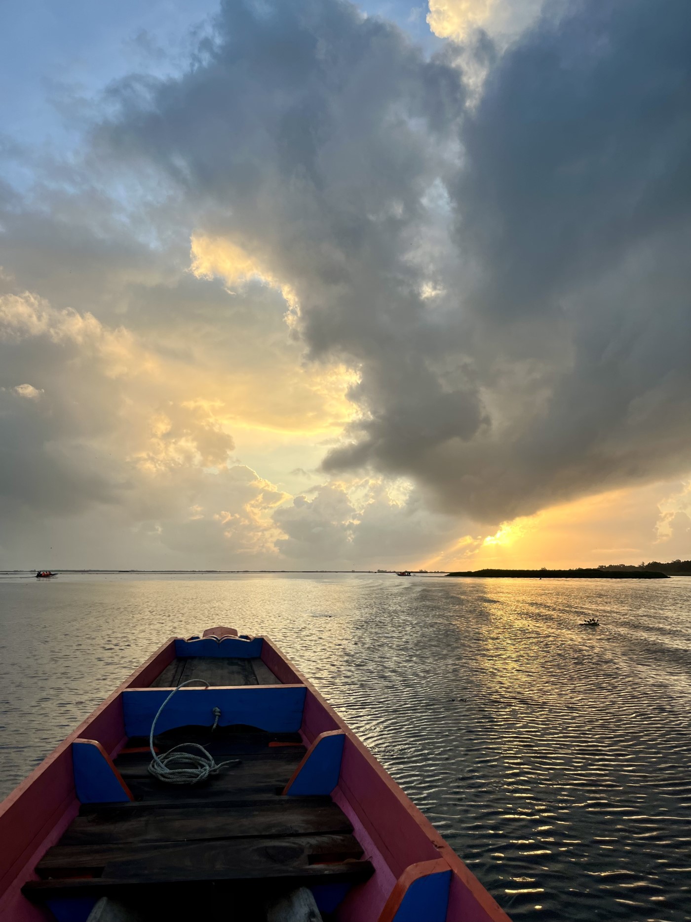 Nature along the Thale Noi boat route