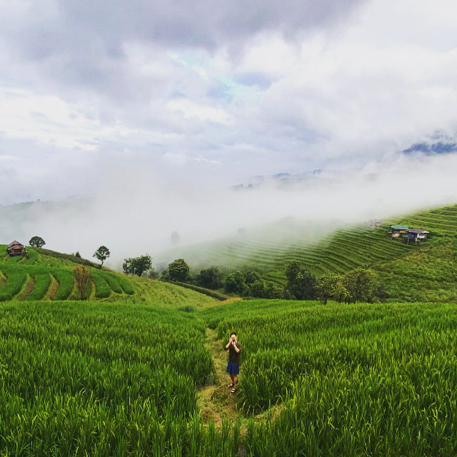 Mountain rice terraces at Ban Pa Bong Piang
