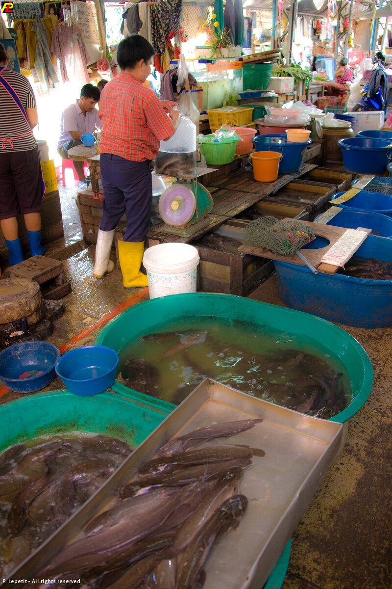 A local stall at Thewet Market Bangkok