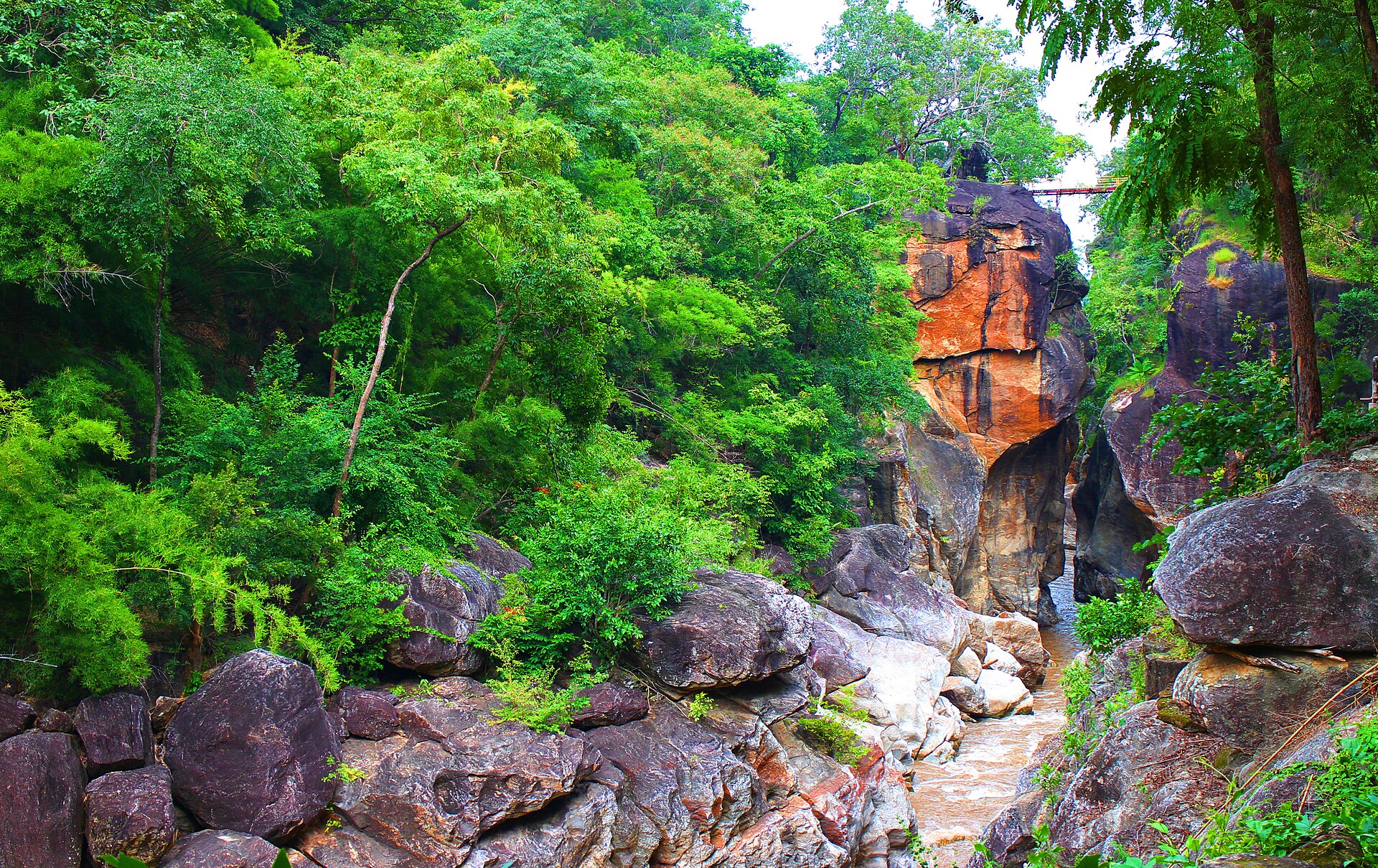 Forest trail in Ob Luang National Park