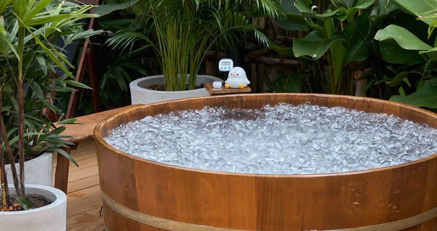 The cold-water recovery area at Rechill Asok
