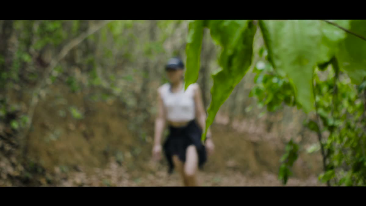 Forest hiking trail used during the Tree Roots retreat