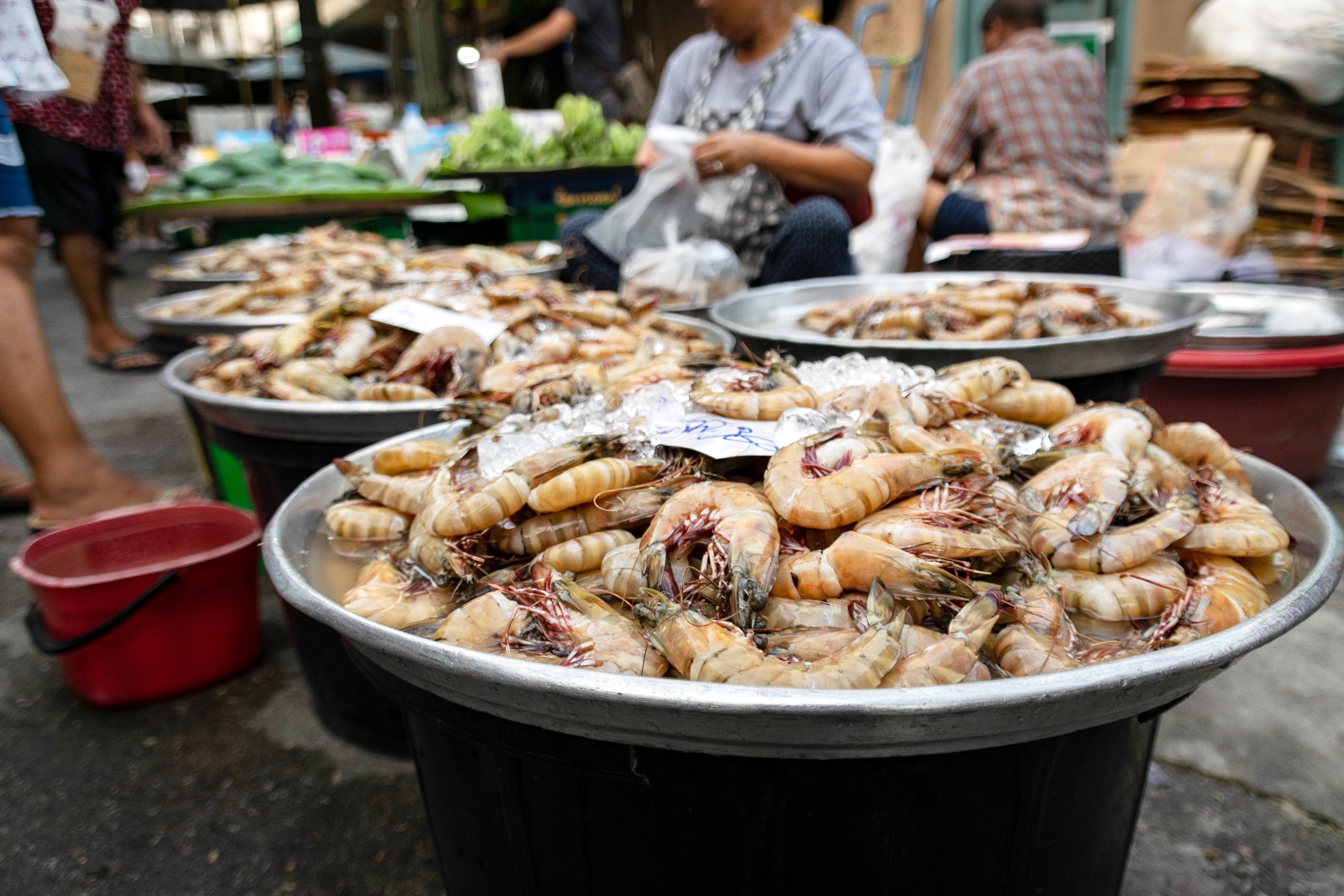 Fresh shrimp for sale at Trok Mor Morning Market