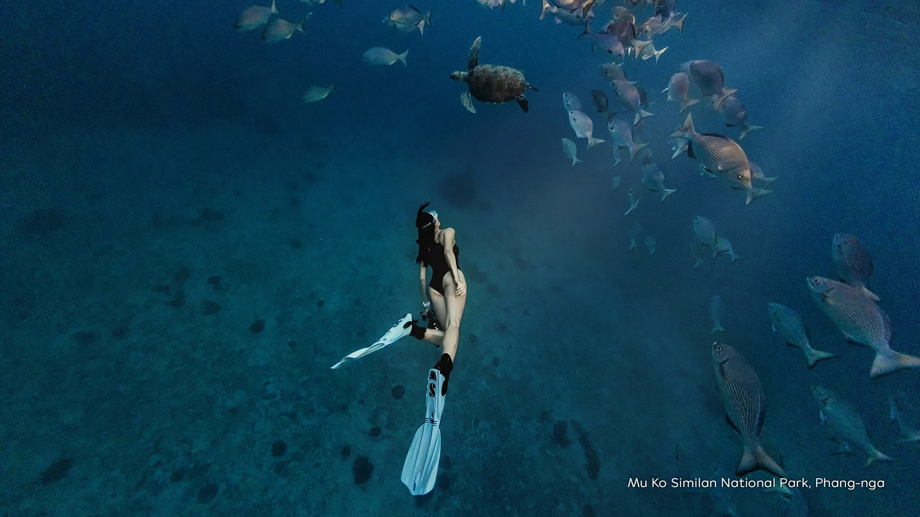 Clear water and granite formations at Mu Ko Similan National Park