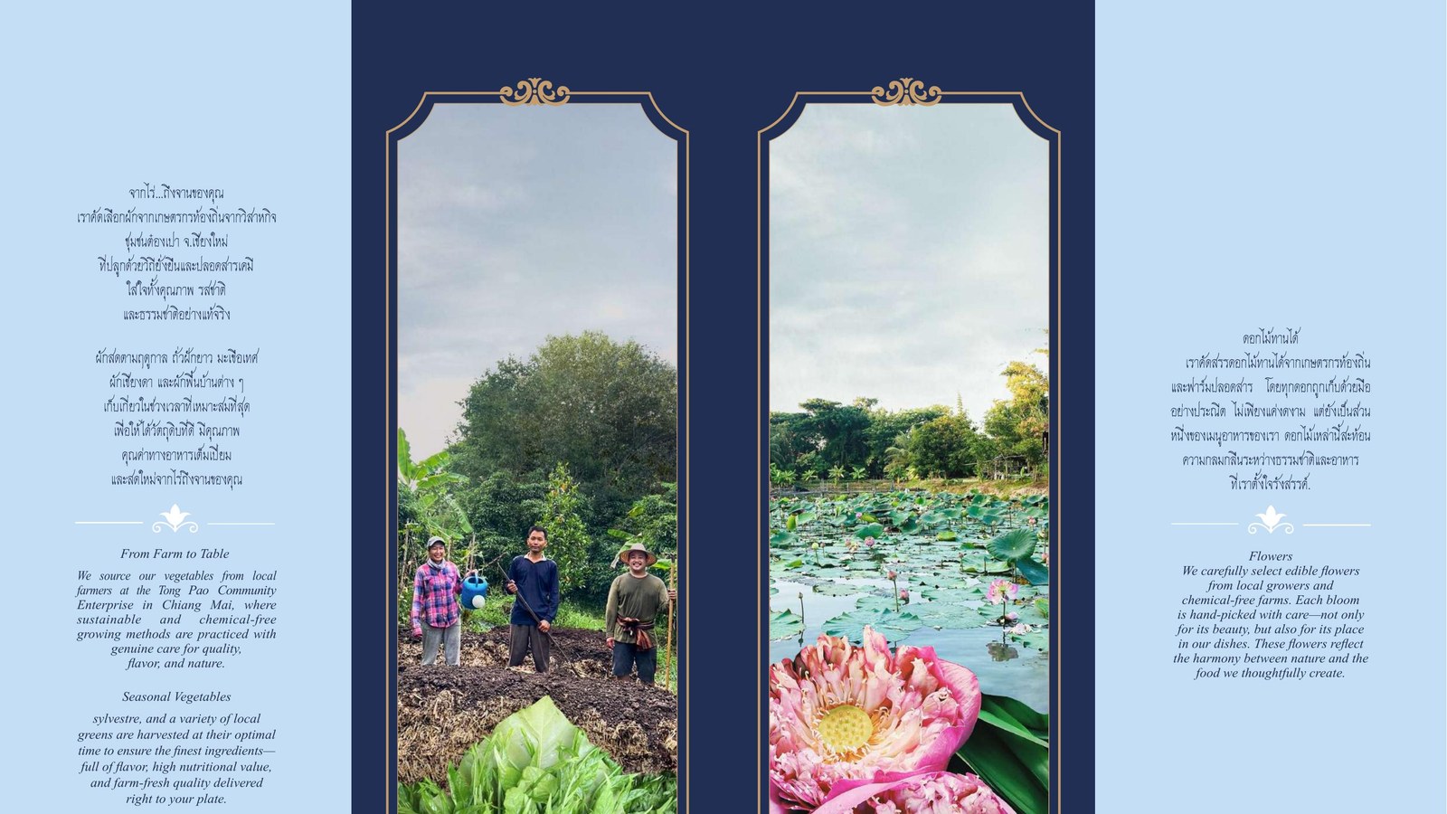 Baan Landai menu page with Chiang Mai imagery