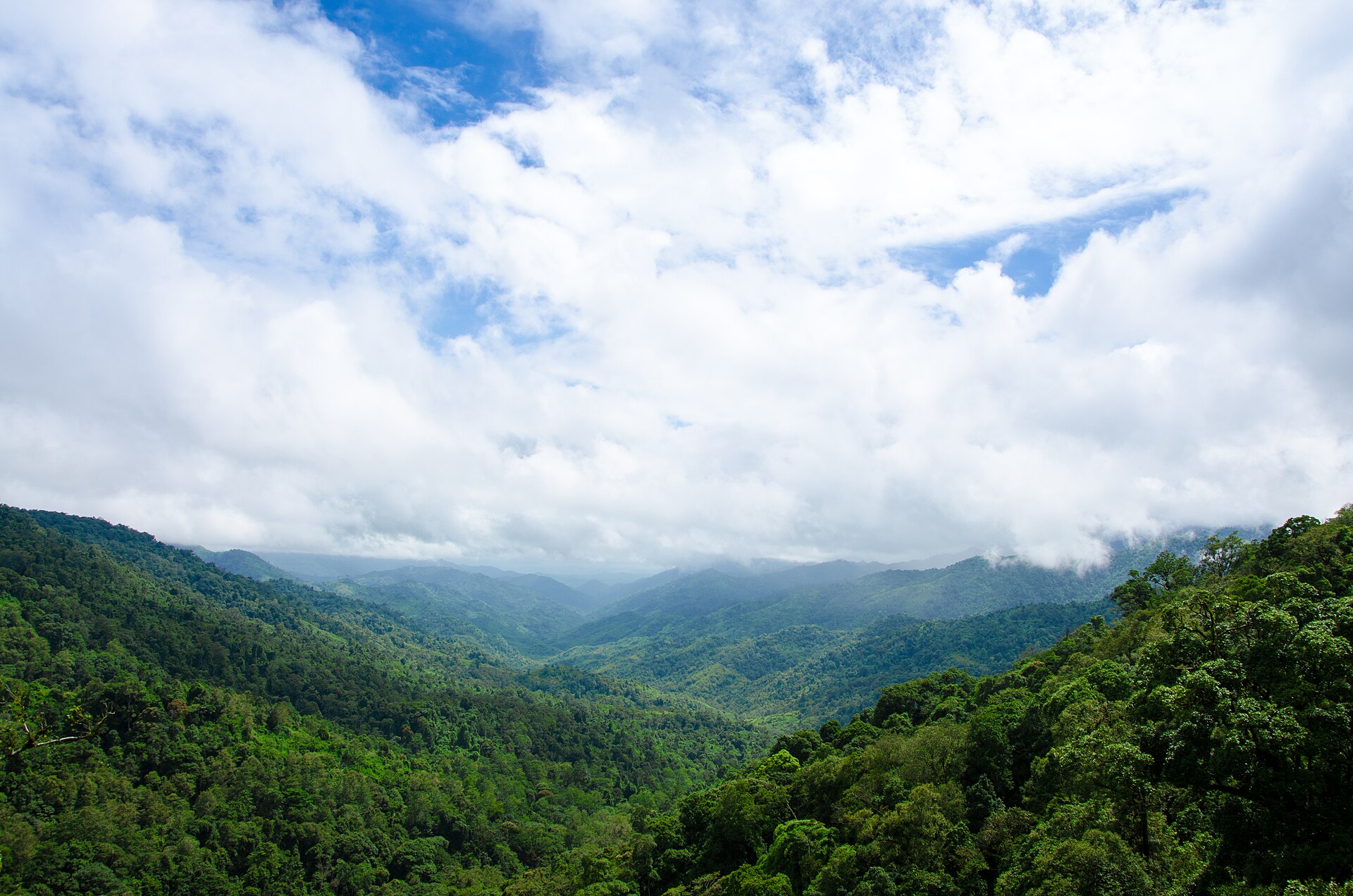 Forested mountain landscape seen from Chong Yen