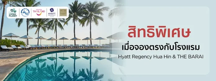 Dog beside the pool in Hyatt Regency Hua Hin pet-package artwork
