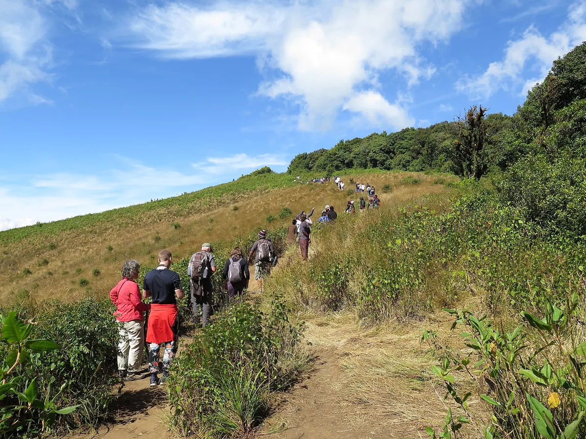Hikers crossing open grassland on Kew Mae Pan