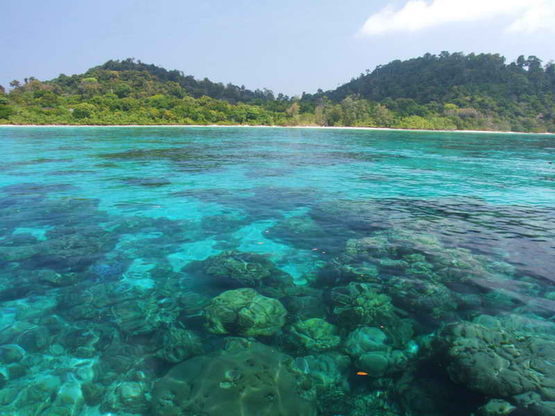 Forested coastline and water at Koh Rok