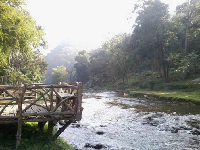 Wooden riverside walkway in Mae Takhrai National Park
