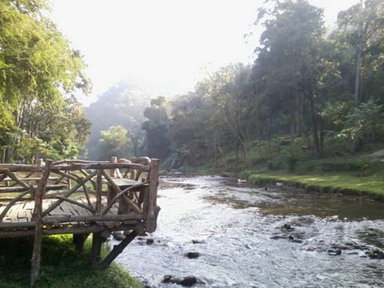 Wooden riverside walkway in Mae Takhrai National Park