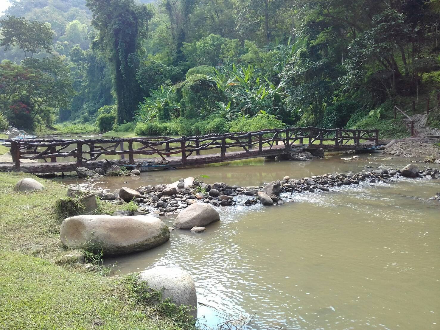 Rustic bridge across a stream in Mae Takhrai National Park
