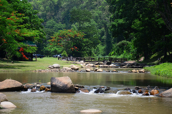 Forest stream and campsite area at Mae Takhrai National Park