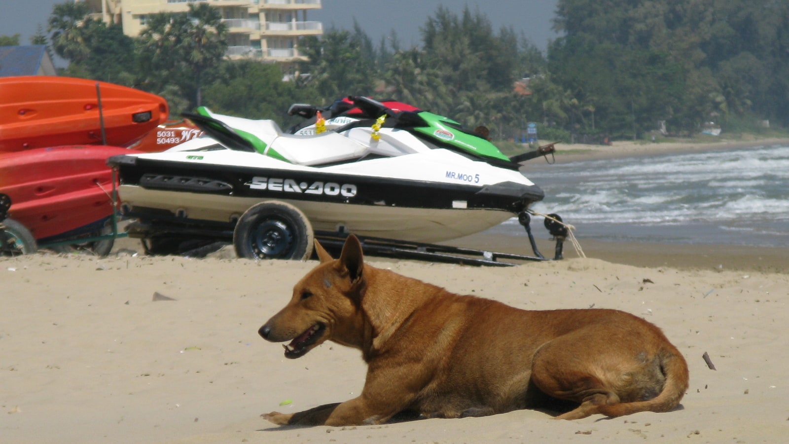 Beach and local activity near Pak Nam Pran