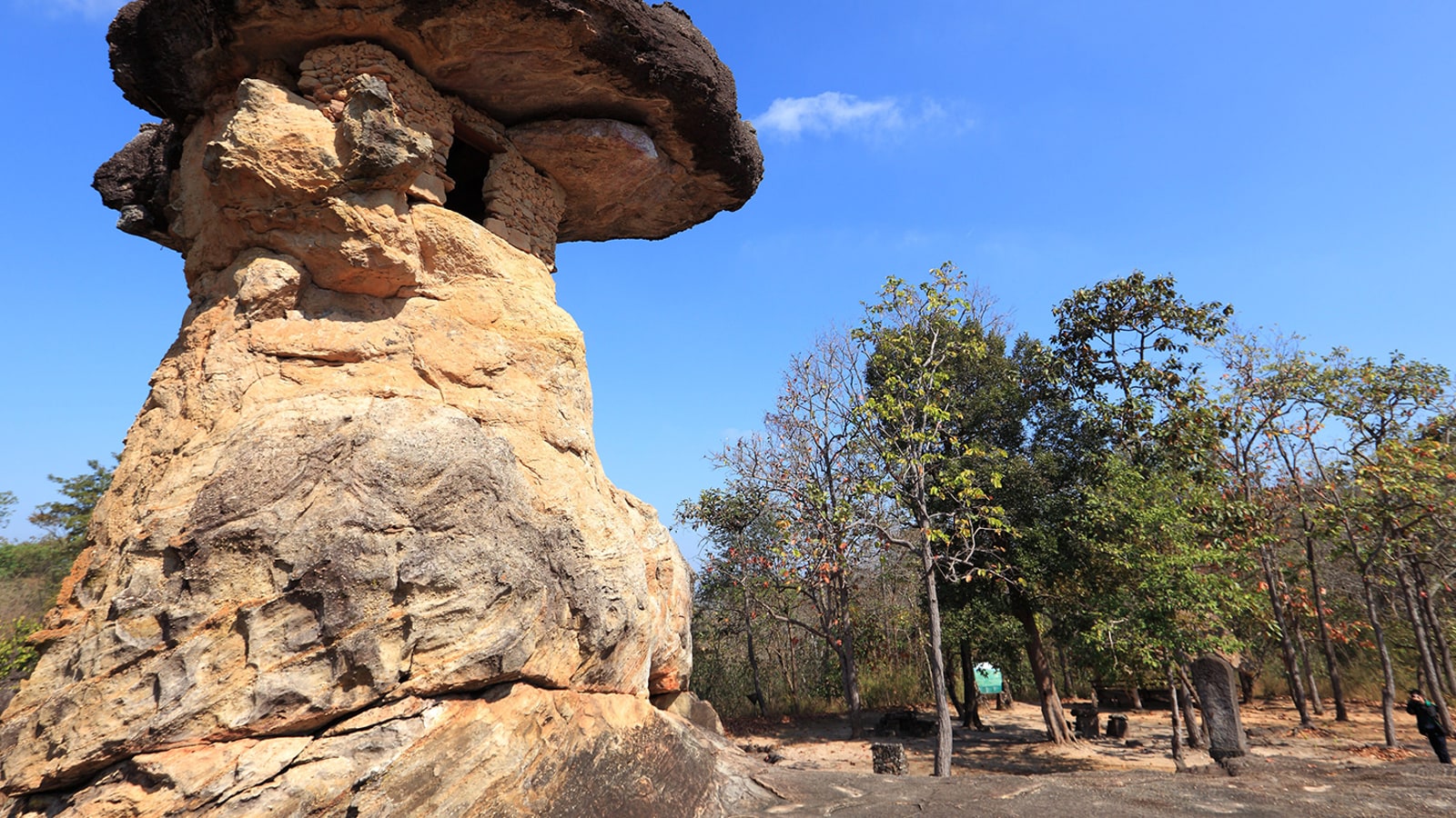 Woodland around a sculpted rock formation at Phu Phrabat
