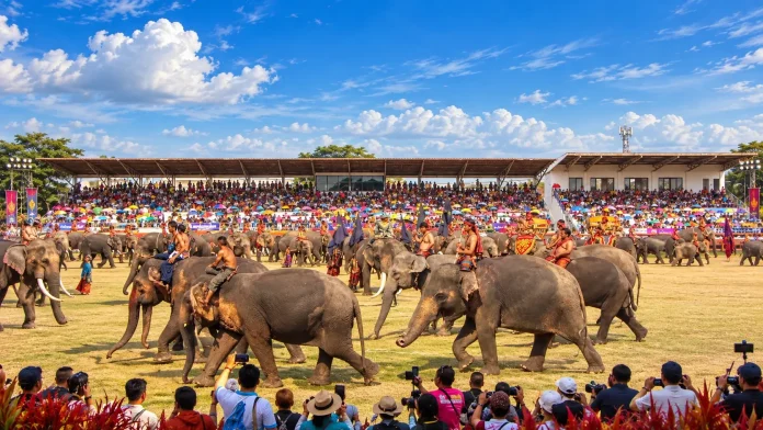 Surin Elephant Festival 2026 Festival scene from the Surin Elephant Festival 2026 programme