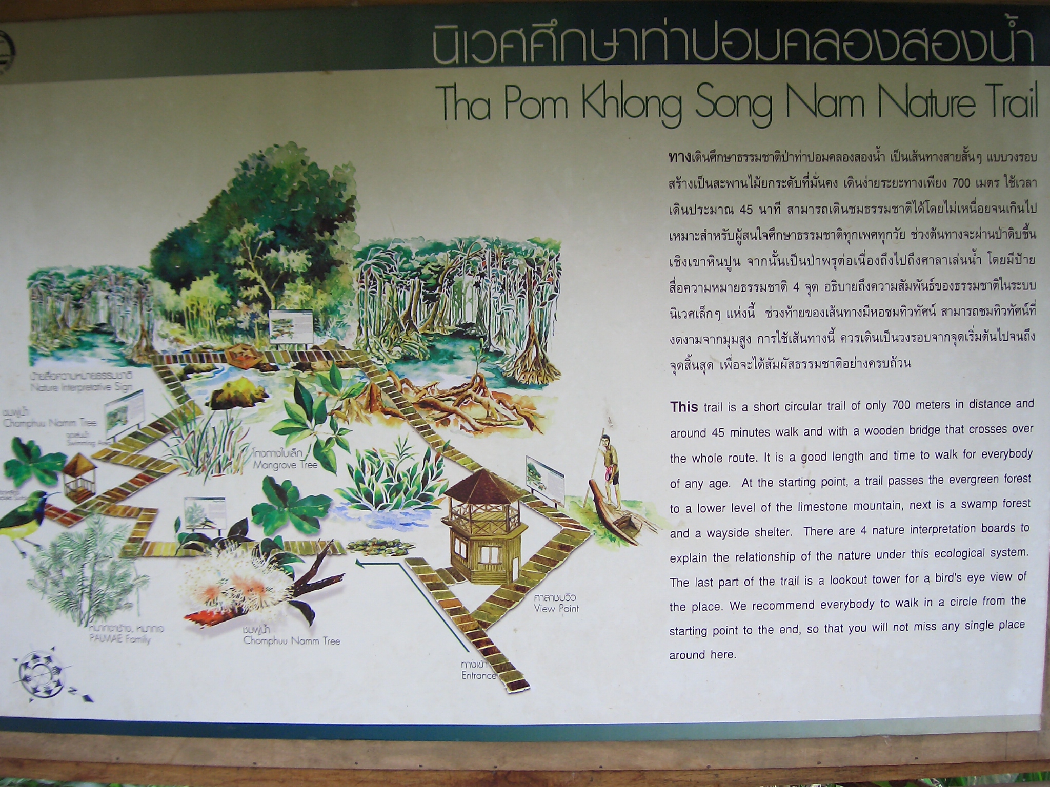 Interpretive map for the Tha Pom Khlong Song Nam nature trail